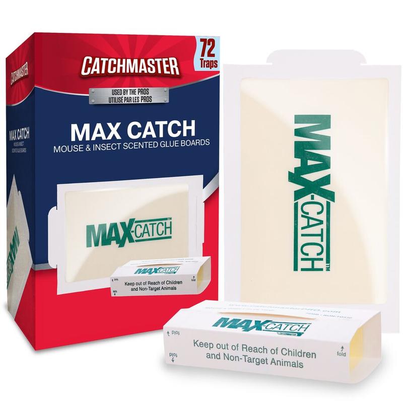 Max-Catch Non-Toxic Scented Glue Traps