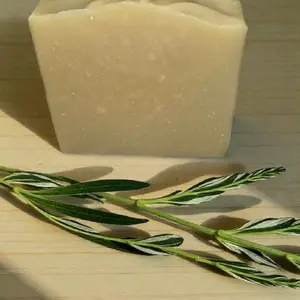 Tea Tree Pure Goat Milk Soap Bar - 100% Farm-Fresh Goat Milk, Clarifying & Hydrating, Fragrance Oil-Free, Gentle Natural Skincare for Sensitive Skin, Moisture-Rich Cleanse, Handmade Cold Process Soap Bar - Coconut