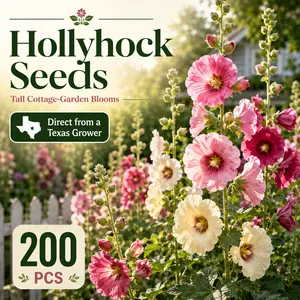 200PCS Hollyhock Seeds, Tall Cottage Garden Flower Seeds, Pink Red White Cream Mixed Blooms, Pollinator-Friendly Perennial Seeds, Easy to Grow Full Sun Flowers for Backyard Borders, Fences, Walls, Raised Beds & Patio Gardens