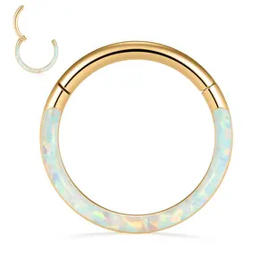 AROWRO Septum Rings Hypoallergenic Daith Piercing Jewelry Surgical Steel Septum Jewelry 20G/18G/16G/14G/12G Conch Piercing Jewelry Helix Rook Tragus Cartilage Nose Rings Hoops 6mm-12mm