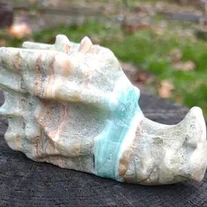 Caribbean Calcite Crystal Dragon Skull