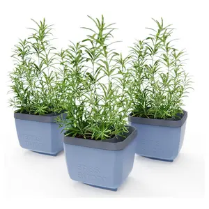 Gusta Garden Set of 3 Self Watering Herb Planters Gusta Garden Set of 3 Self Watering Herb Planters