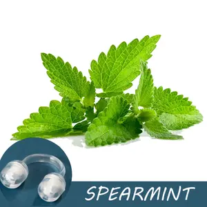Spearmint Essential Oil Nasal Inhaler