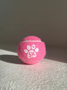 Squeaky Tennis Ball - Princess Pink