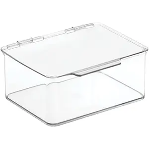 Plastic Playroom Gaming Storage Organizer Box Containers Hinged Lid for Shelves or Cubby Holds Small Toys Building Blocks Puzzles Markers Lumiere Collection 8 Pack Clear