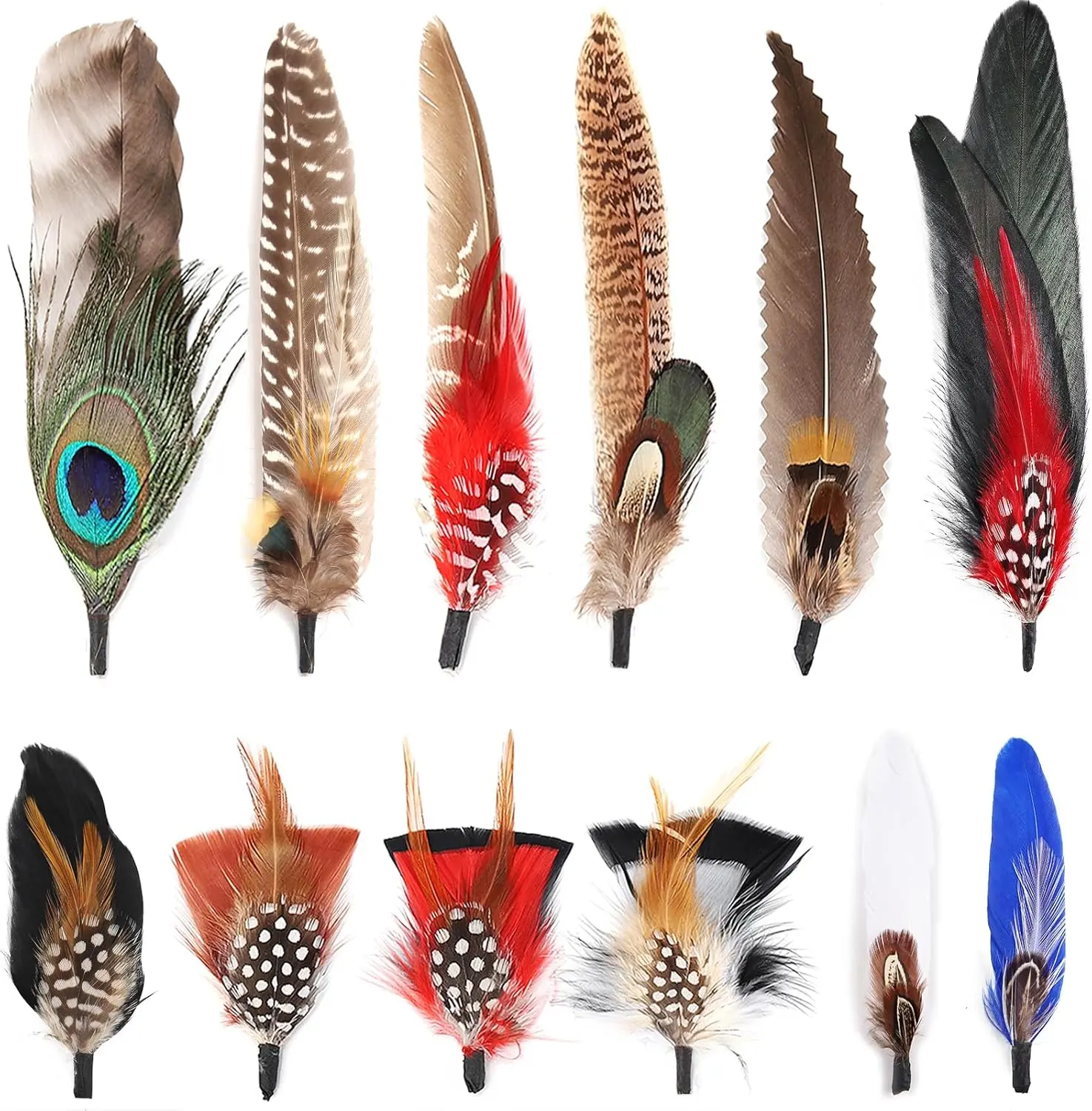 Hat Natural Peacock Feathers - 12PCS Colorful Feathers for DIY Fedora, Cowboy, Christmas Party