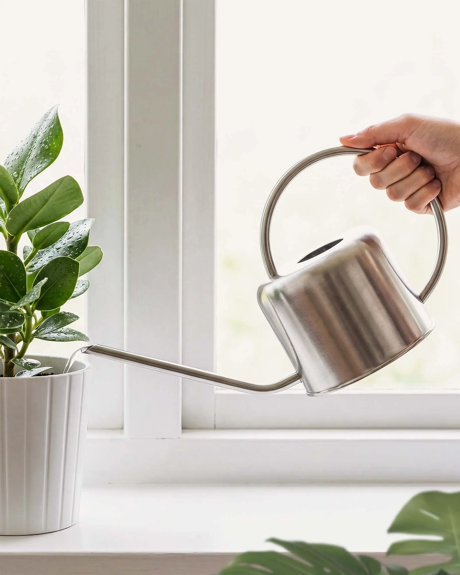Bamworld 1L Rust-Free Stainless Steel Watering Can - Rose Gold/Silver Garden Supplies Tool with Long Gooseneck Spout, Wrist-Easy Handle for Precise Pouring, Easy-Cleaning for Indoor Plants, Outdoor Herbs & Seedlings