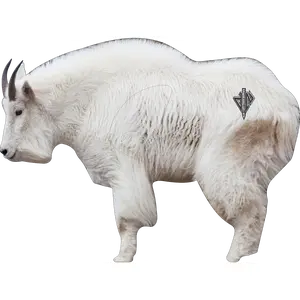 2D "Billy" Mountain Goat Broadside Target
