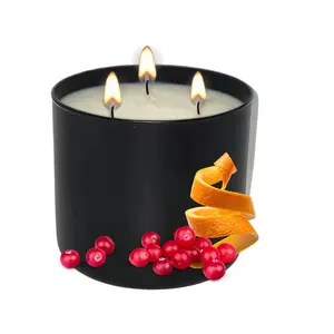 Wonder Peel 3-Wick Candle with Cranberry & Orange Peel Festive Fragrance for Cozy Evenings & Holiday Gatherings 90-110 Hours Burn Time