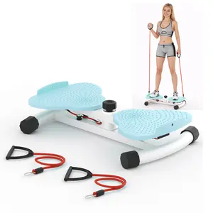 Waist Twist Machine 300 lbs Capacity Anti-Slip Noiseless Workout Equipment for Women Home Gym Portable Compact