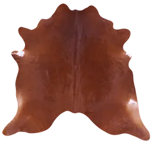 SUPER SALE Brown Natural Cowhide Rug - Large 6' 5"H x 6' 10"W