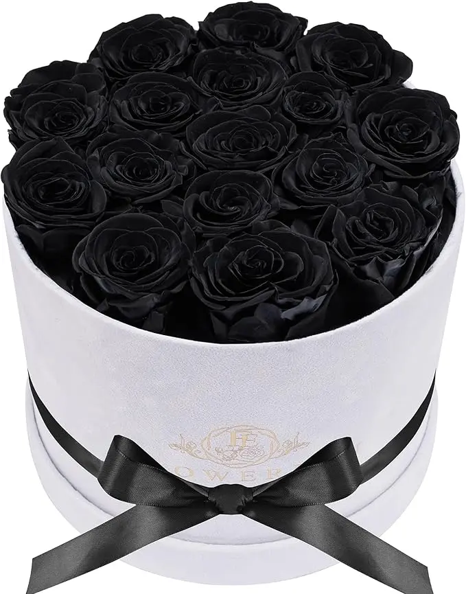 17 Flowers in a Luxury Suede Box, Birthday Gifts for Women, Real Preserved Flowers, Mothers Day Roses Gift for Mom, Black Decor Decorative
