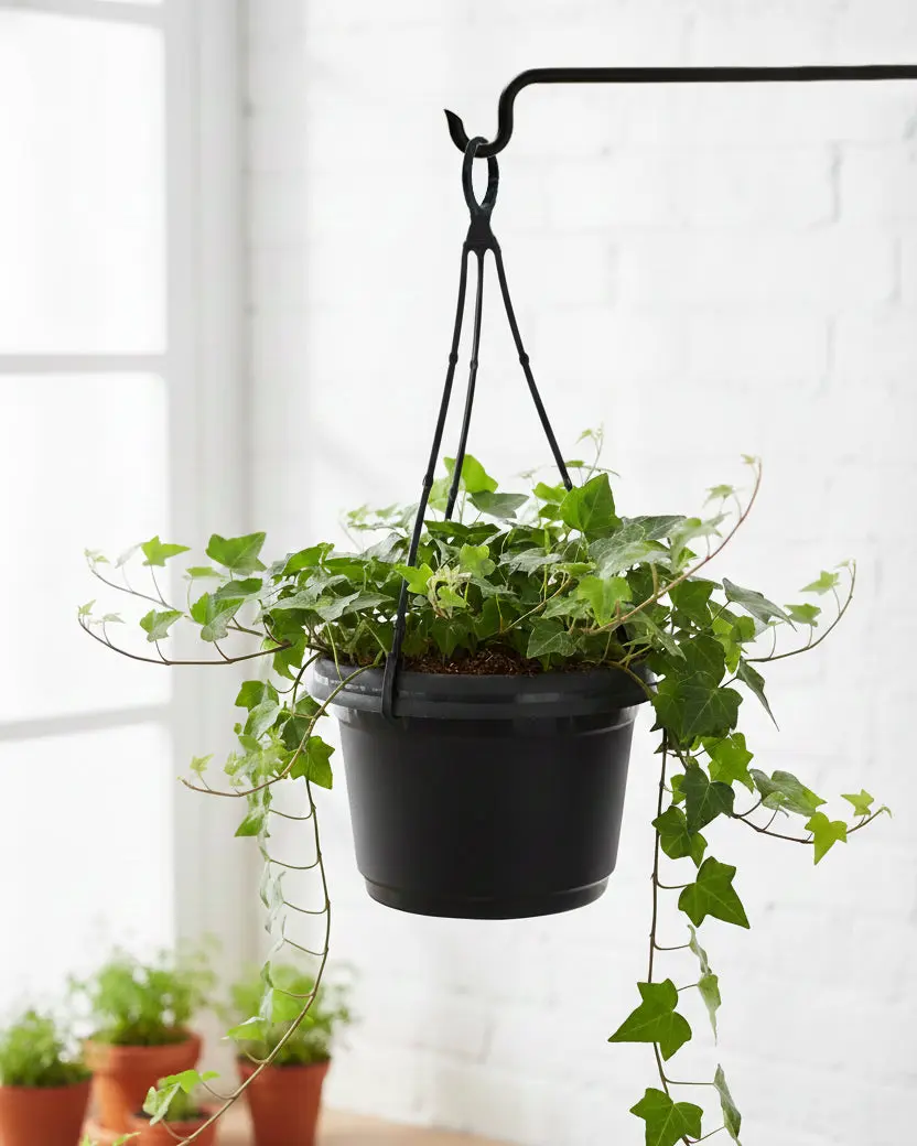 SHAP 7-in Classic Hanging Garden Pot with Drainage Holes - Plant Decor, Lightweight Flower Pots & Planters for Indoor/Outdoor Container Gardening, Balcony Garden Outdoor Planters For Porch Decorative Garden Planter Patio Hanging Planters