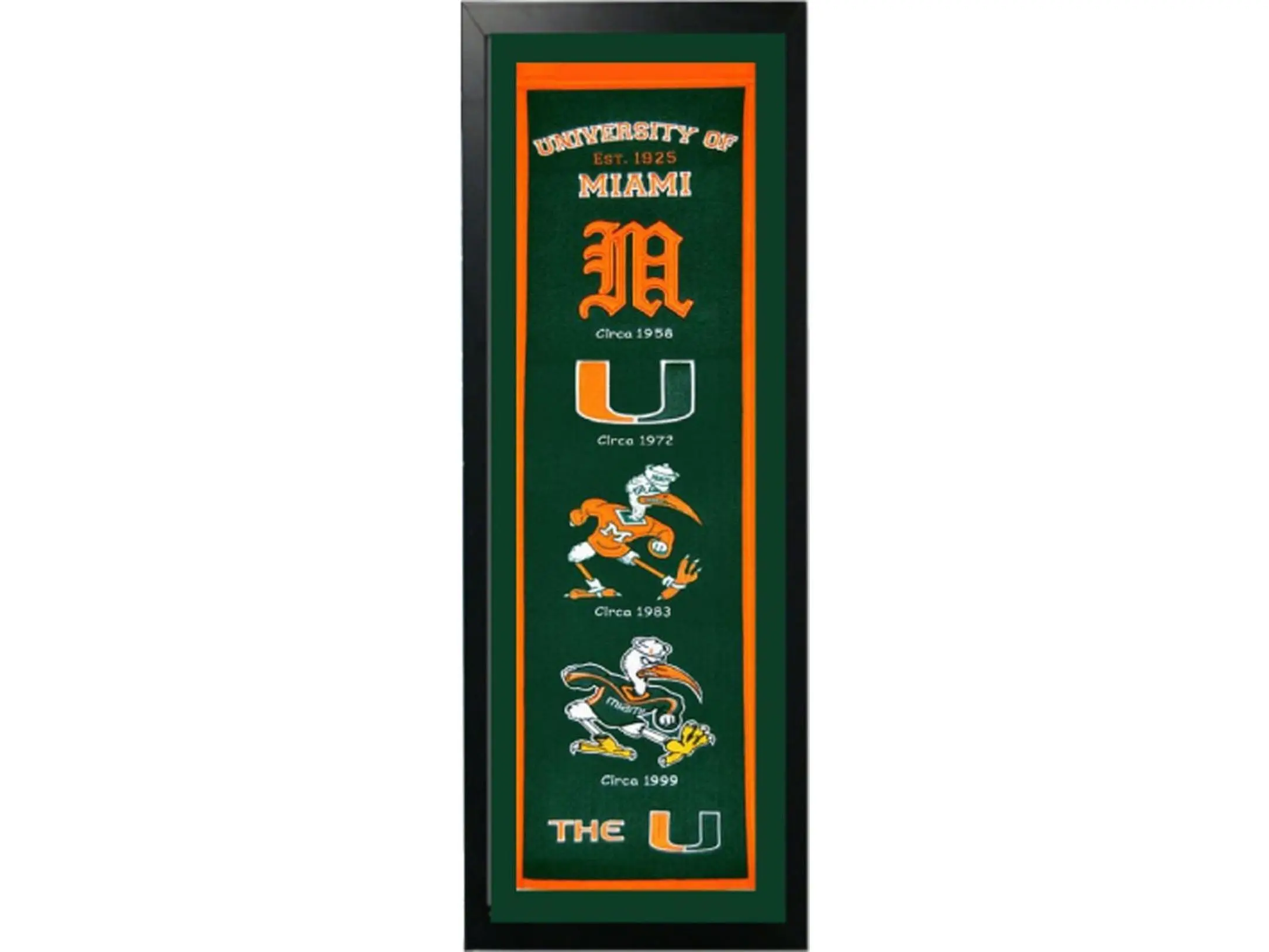 Encore Select 109-25 Deluxe Frame-Hangable University of Miami Team Logos History Felt Banner, 14"x37" - Home, Festive Party Supply Backdrop, Party Decorations Ideas, Felt Fabric