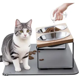 Upgraded Elevated  Bowls with  Mat,15?Tilted Stand Anti Vomiting Raised  Dishes for  and Water,2 Stainless Steel Bowls for Cats and Puppy