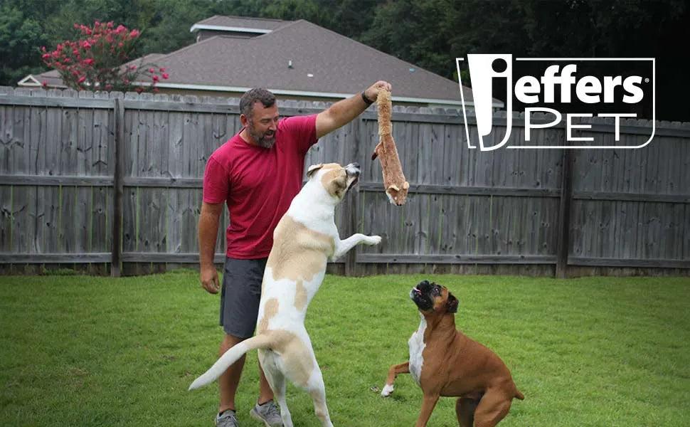 Jeffers Thinnies Unstuffed Plush Dog Toys, 21"L