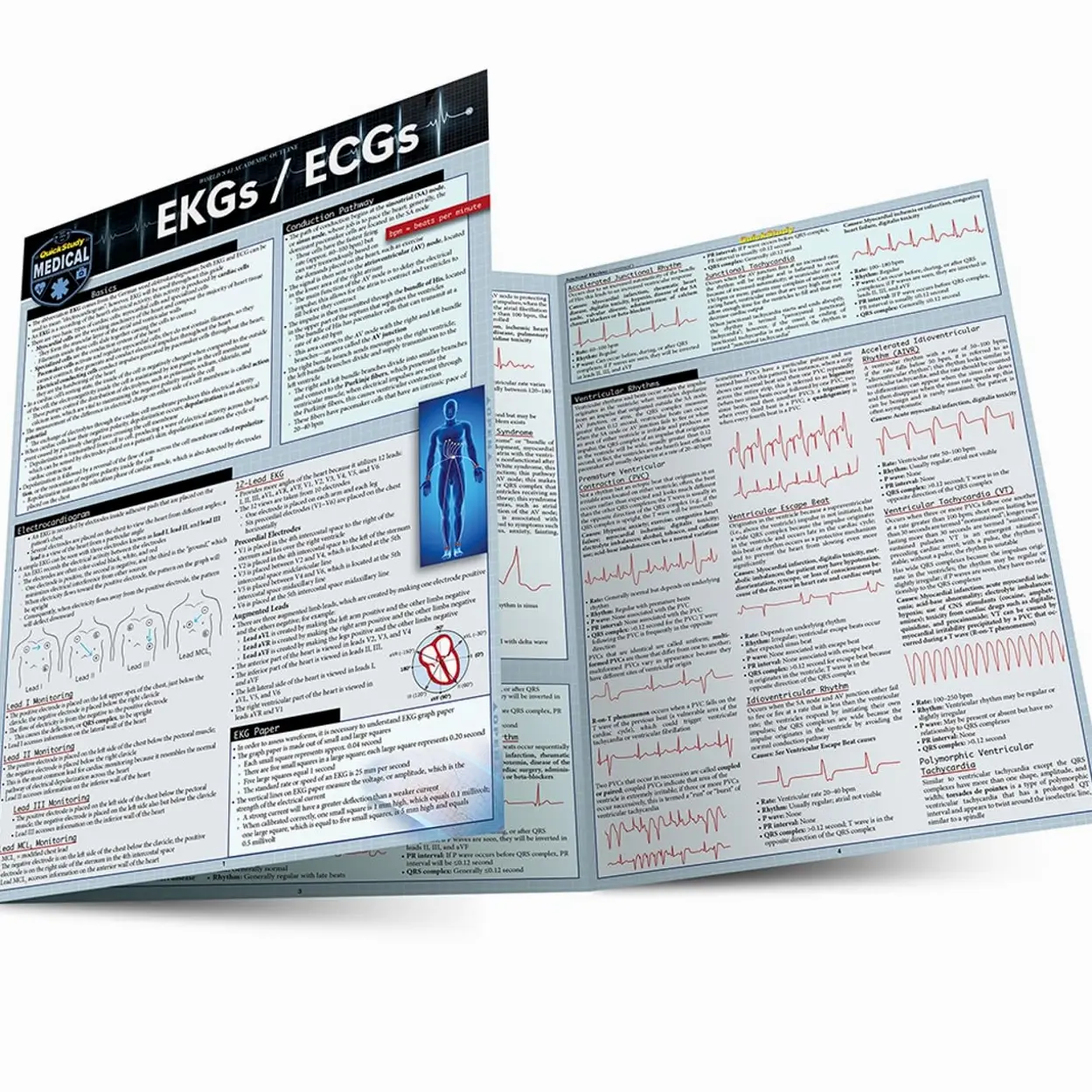 EKGs / ECGs: a QuickStudy Laminated Reference Guide Pamphlet – May 1, 2025