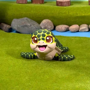Shelly the Sea Turtle