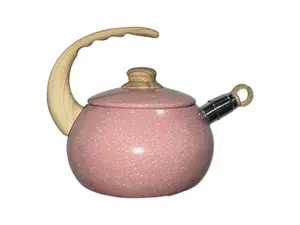 NEWARE 3L Ceramic Tea Kettle - Fresa