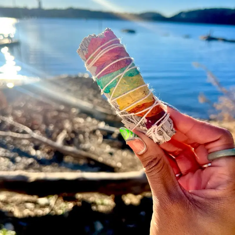 7 Chakra Sage