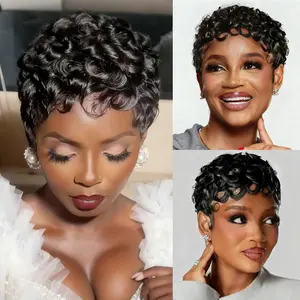 Short Curly  Hair Wig For Black Women | Glueless, Pre-Plucked, Ready-To-Wear, Perfect For Any Vibe
