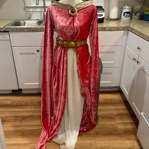 Medieval Princess Zelda Cosplay Dress in hot pink Velvet with Gold Belt and Long Sleeves for Costume Wear