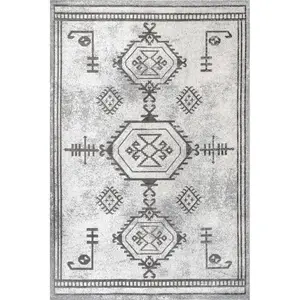 Kyleigh Machine Washable Southwestern Area Rug