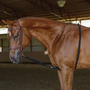 Schneiders Lunging Aid