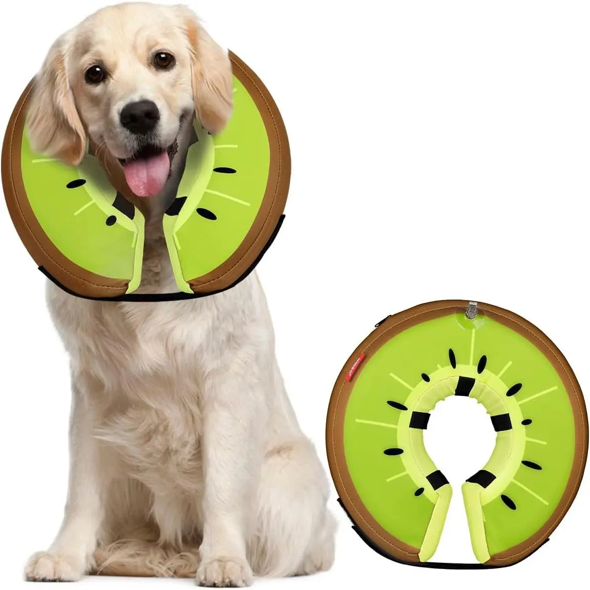 Kiwi Fruit