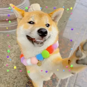 1pc Multicolor Nylon Pet Fur Ball Necklace For Cats & Dogs, Decorative Plush Collar, Ideal For Photo Jewelry, Pet Accessories