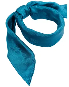 Cody James Men's Silk Jaquard Turquoise Scarf - Cjasu20bn2