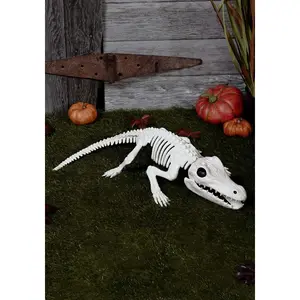31" Crocodile Skeleton Decoration