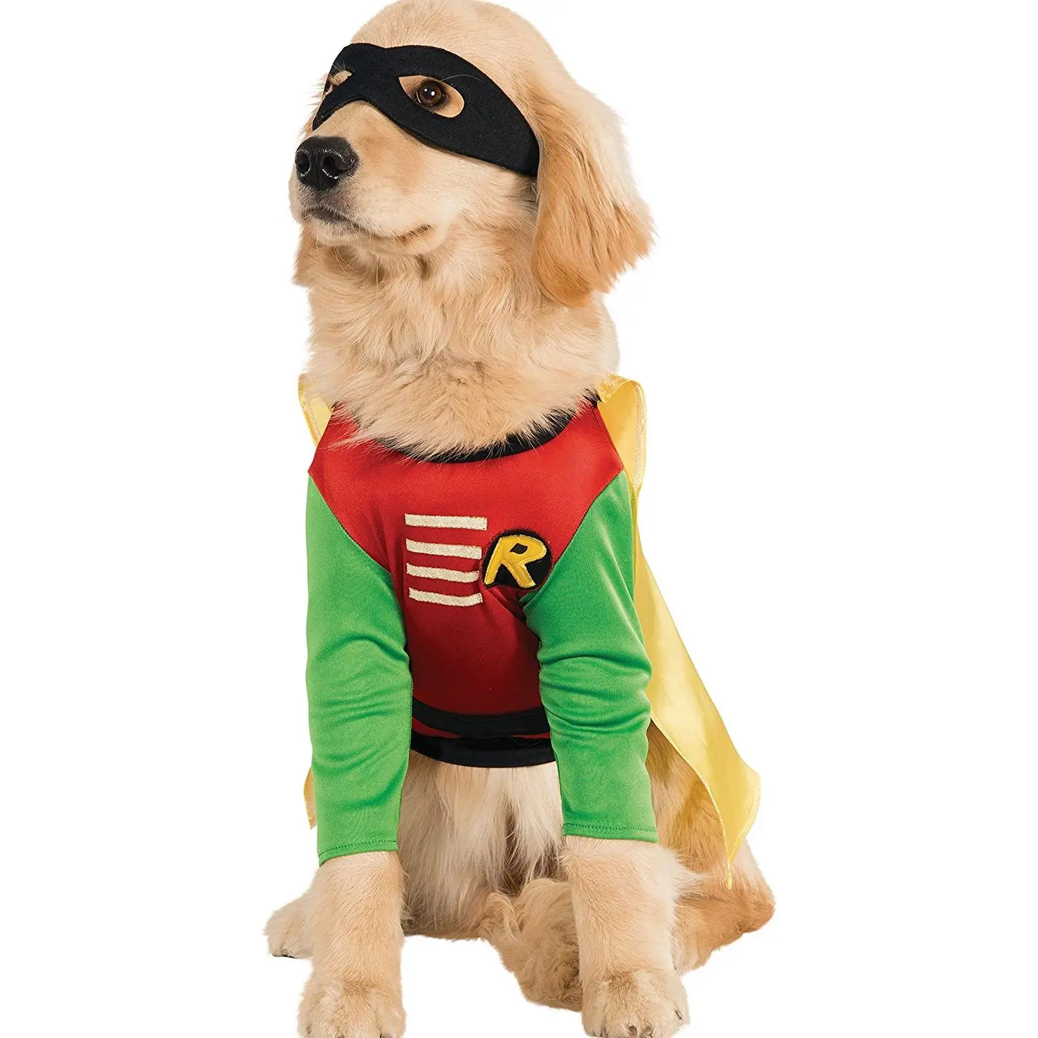 Pets Batman Universe Robin Costume