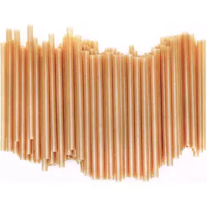 5 Inch Short Biodegradable  Straws 200 count Compostable  Stirrers Straws Made from  Sugarcane Fiber A Plasticless Sturdy Drinking Straws for Hot and Cold Drinks Not Foggy