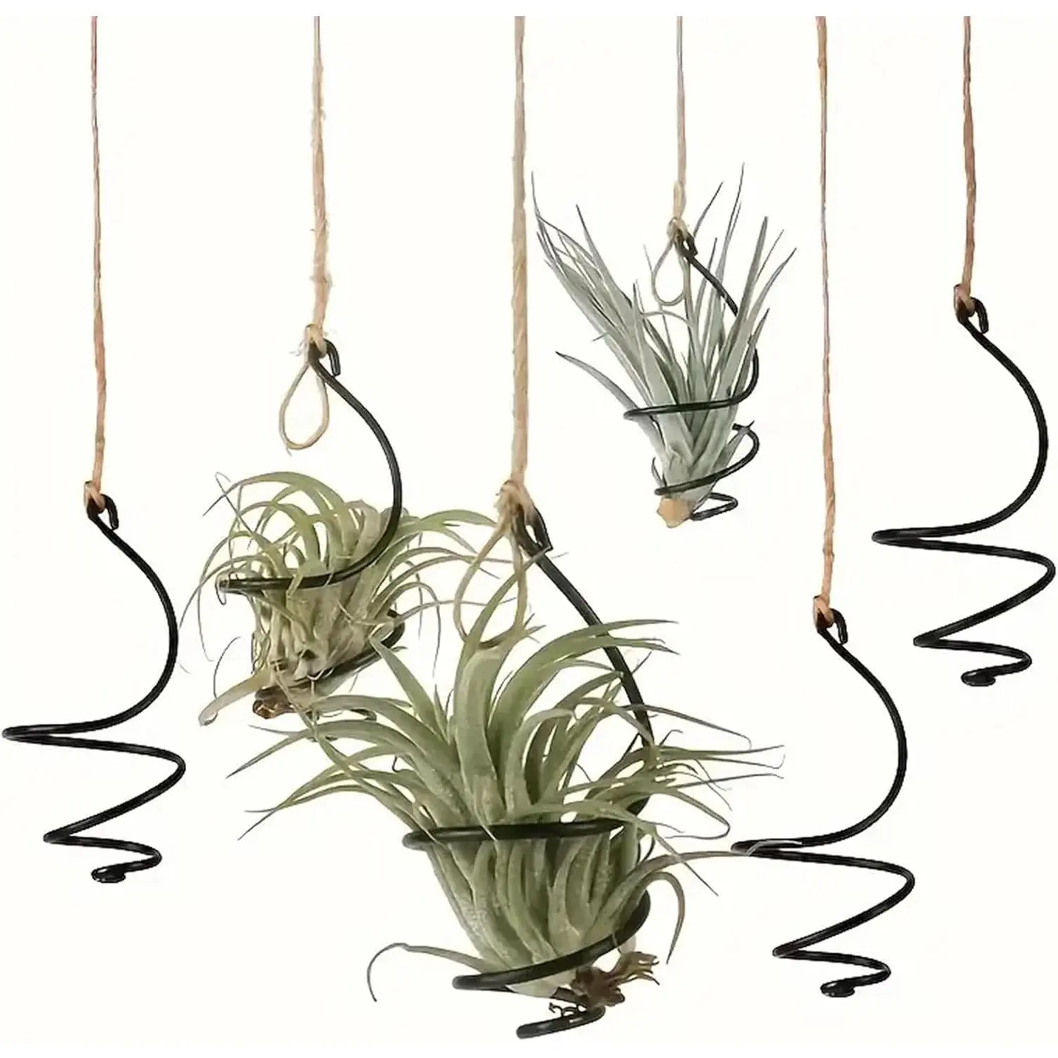 6 count set  Air  Holder Air  Hanger with Jute Ropes, Soilless Air  Stand Tillandsia Succulent Display Container for  Office Decor