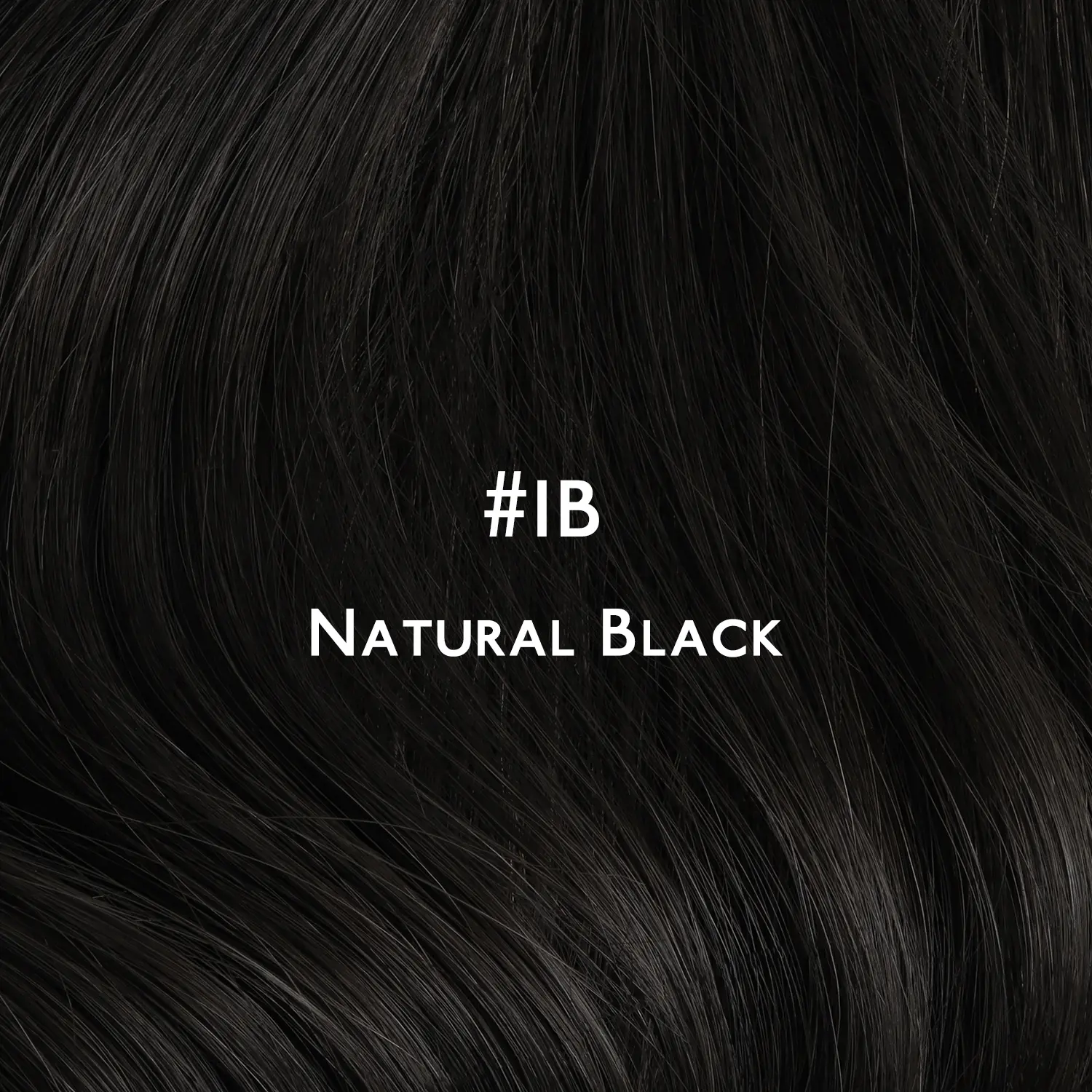 #1B Natural Black