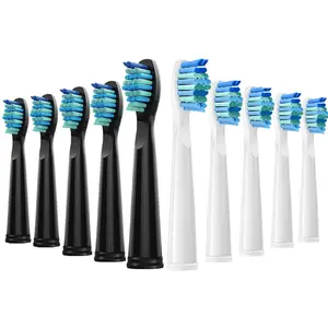 10pcs Electric Toothbrush Replacement Heads, Compatible with Seago Sg910/507/958/515/949/575/551, Durable & Efficient Oral Care Solution, Replaceable Brush Heads