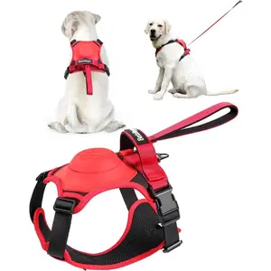 Dog Harness and Retractable Leash Set All-in-One