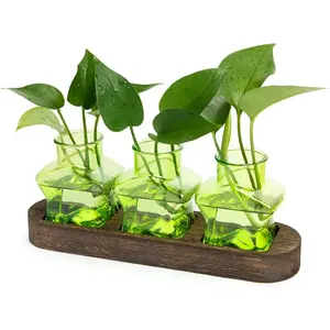 Propagation Station with Wooden Stand,Air  Terrarium Starter Kits  Vases    Rooting Pots Indoor Hydroponic Glass Planter for  Lovers,3 Jars(Green)