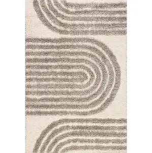 Rose Modern Geometric Shag Area Rug