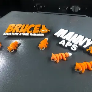 3d Printed THD Personalized Name Tags with Apron, 3D Printed Keychains, Kid's Name Tags, Sport Keyrings, Charms