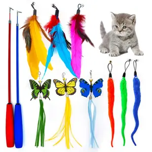 Interactive Cat Toys, 11pcs/set Retractable Wand Toy & Feather Toys for Indoor Kitten Cats to Chase and Exercise, Pet Supplies, Dog & Cat Accessories