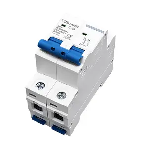 AC Circuit Breaker 2P C Type Mini  | AC Only| 32A 40A AC 230/400V 120/240V Compatible 50/60Hz Overload Short Circuit Protection