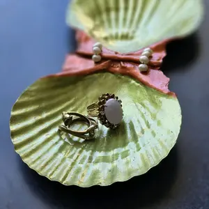 Real Scallop Shell Ring Dish, Jewelry Accessory with Freshwater Pearls - Green