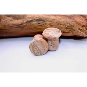 Natural, Lightweight Picture Jasper Stone Single Flare Plugs-Gauges with Polished Surface, Landscape Bands, for Stretched Ears & Everyday Wear