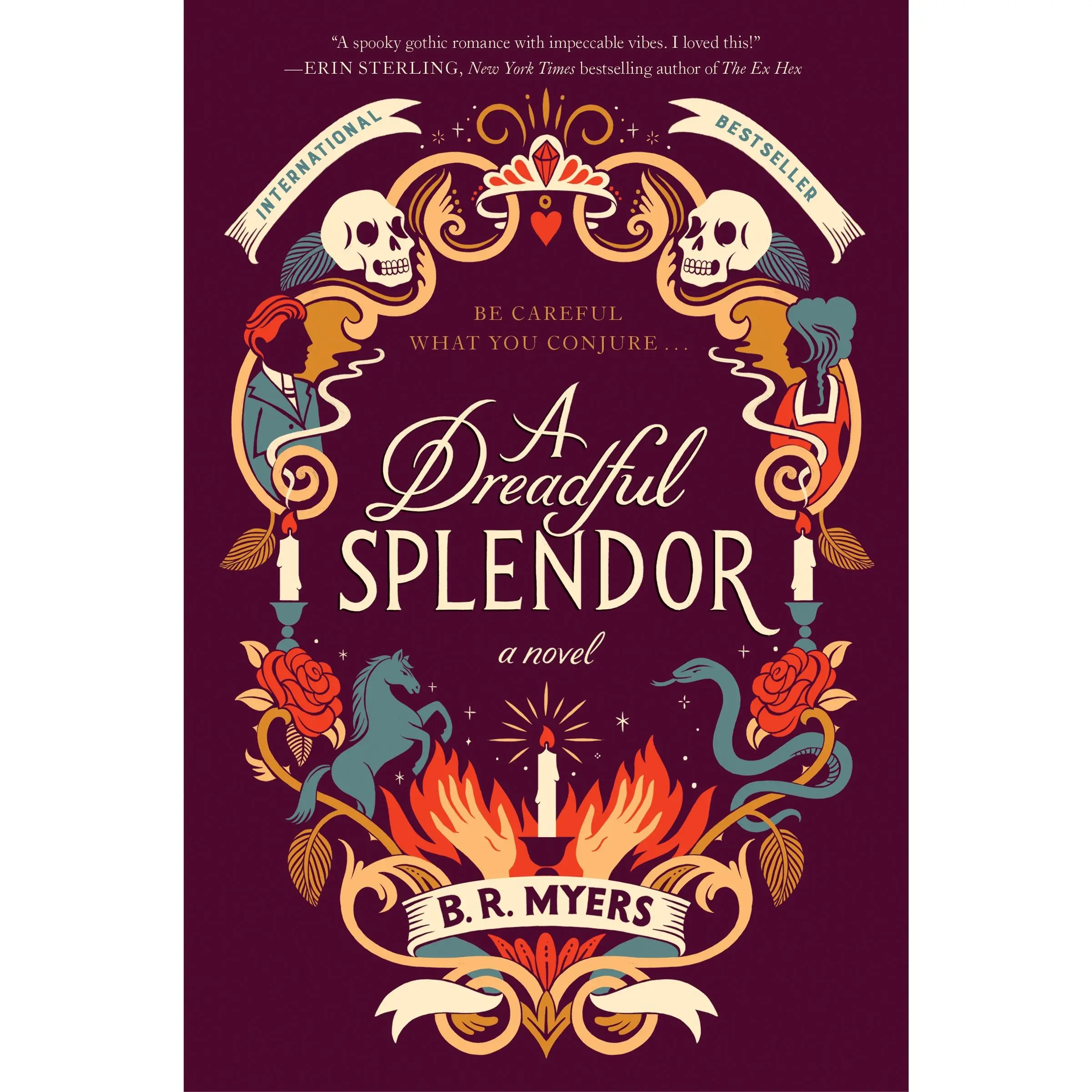 A Dreadful Splendor: A Novel by B.R. Myers [Paperback Book]