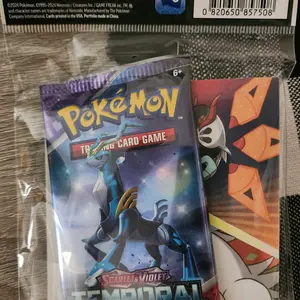 Pokemon mini portfolio with Temporal Forces pack 2024