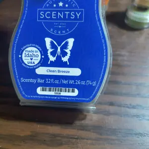 Scentsy Wax Bars for Home Decor and Ornaments
