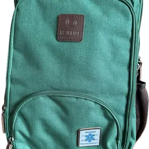 The Influencer Backpack 2.0 green The Influencer Backpack 2.0 green