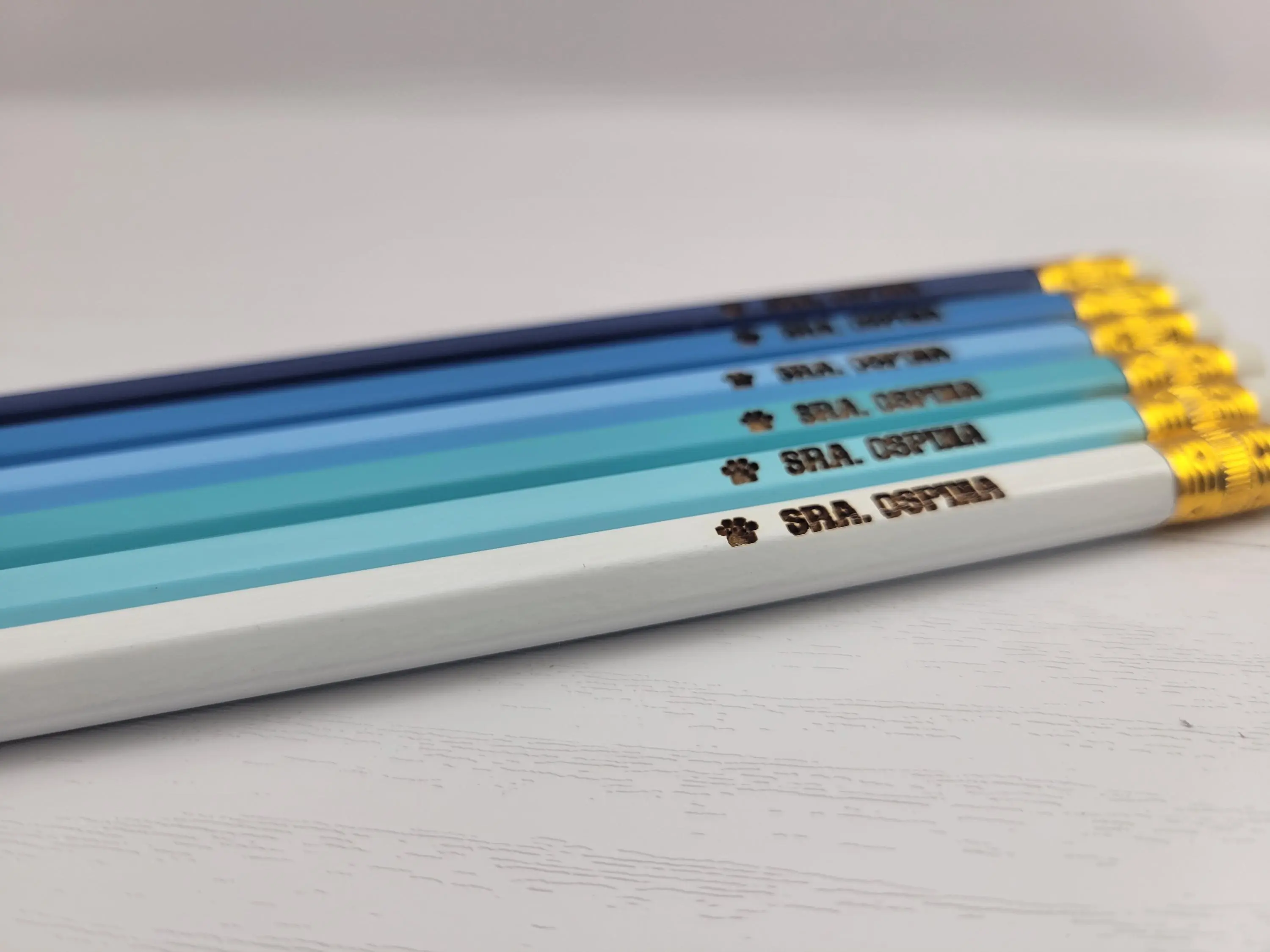 Personalized Pencils Back to School Supplies for Students or Teacher Gift in Blue Colorway